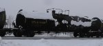 UTLX 302085